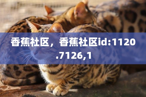 香蕉社区，香蕉社区id:1120.7126,1