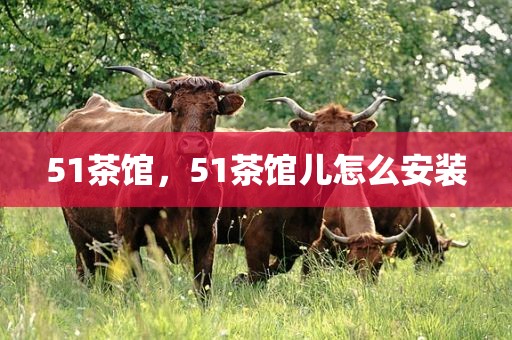 51茶馆，51茶馆儿怎么安装