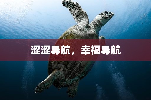涩涩导航，幸福导航