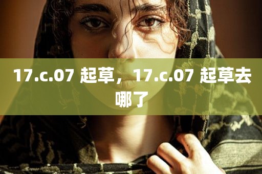 17.c.07 起草，17.c.07 起草去哪了