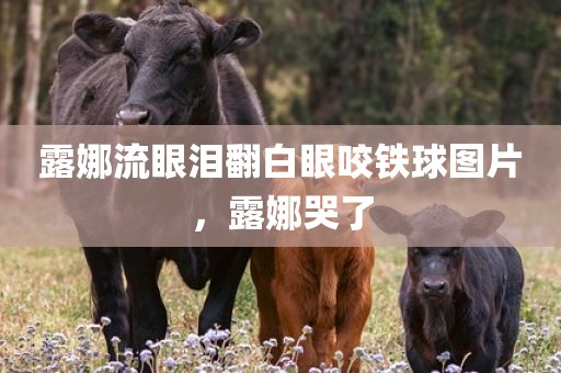 露娜流眼泪翻白眼咬铁球图片，露娜哭了