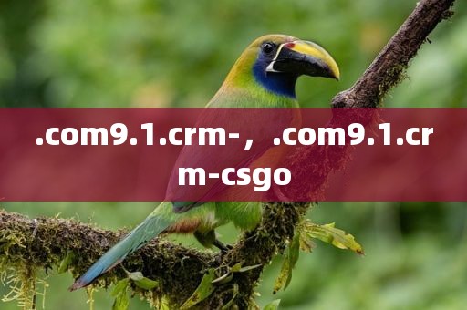 .com9.1.crm-，.com9.1.crm-csgo