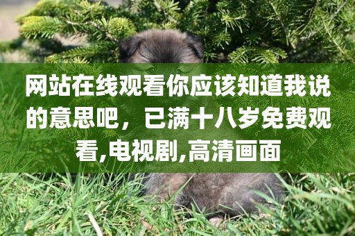 网站在线观看你应该知道我说的意思吧，已满十八岁免费观看,电视剧,高清画面