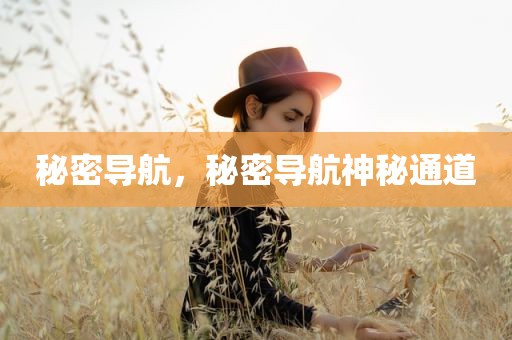 秘密导航，秘密导航神秘通道