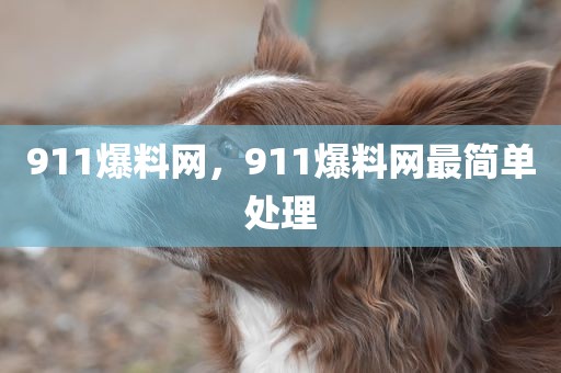 911爆料网，911爆料网最简单处理