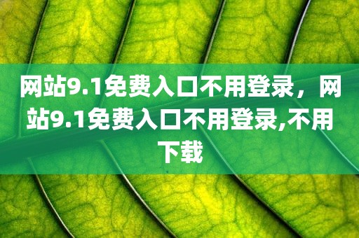 网站9.1免费入口不用登录，网站9.1免费入口不用登录,不用下载