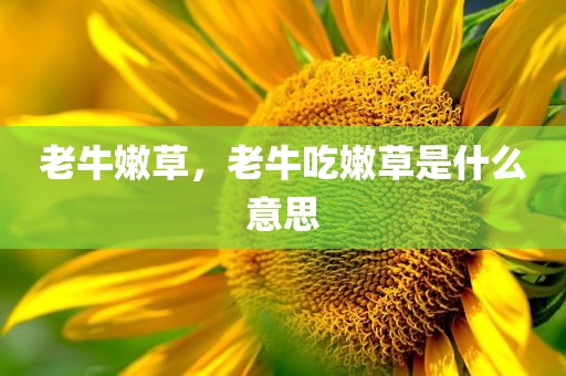 老牛嫩草，老牛吃嫩草是什么意思