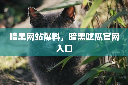 暗黑网站爆料，暗黑吃瓜官网入口