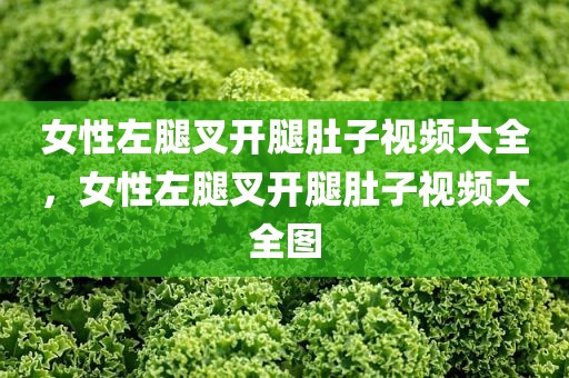 女性左腿叉开腿肚子视频大全，女性左腿叉开腿肚子视频大全图