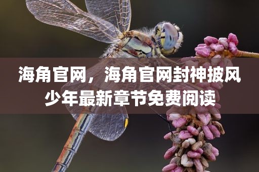 海角官网，海角官网封神披风少年最新章节免费阅读