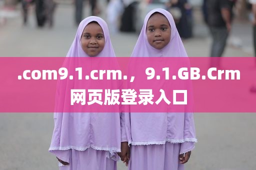.com9.1.crm.，9.1.GB.Crm网页版登录入口