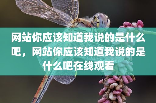 网站你应该知道我说的是什么吧，网站你应该知道我说的是什么吧在线观看