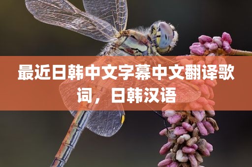 最近日韩中文字幕中文翻译歌词，日韩汉语