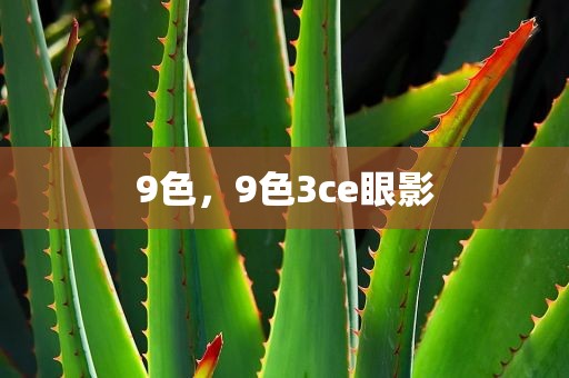 9色，9色3ce眼影