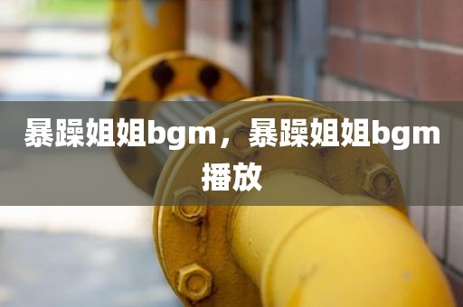 暴躁姐姐bgm，暴躁姐姐bgm播放