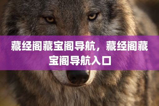 藏经阁藏宝阁导航，藏经阁藏宝阁导航入口