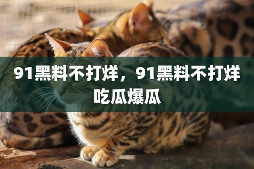 91黑料不打烊，91黑料不打烊吃瓜爆瓜