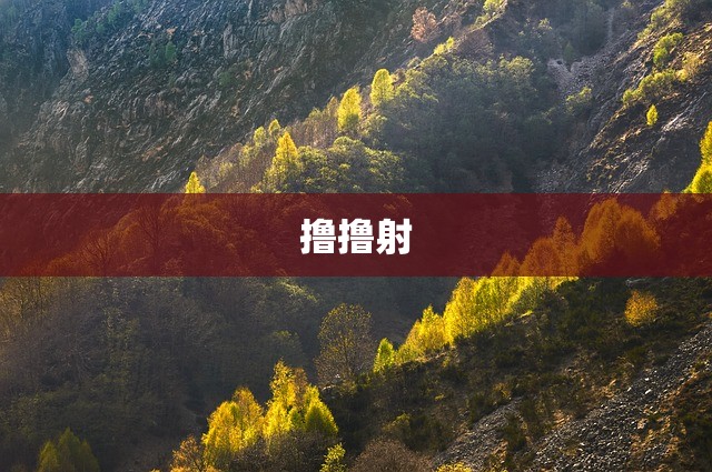 撸撸射