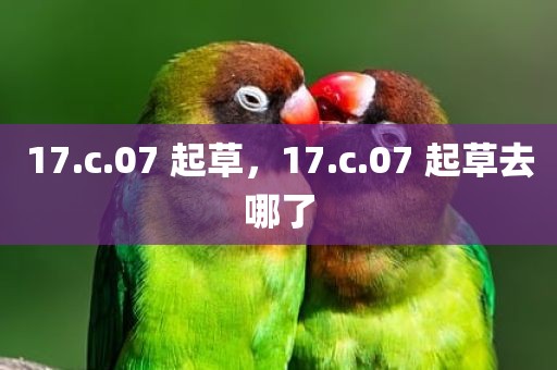 17.c.07 起草，17.c.07 起草去哪了