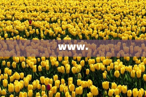 www.