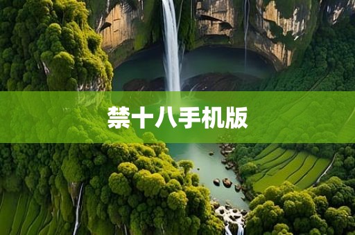 禁十八手机版