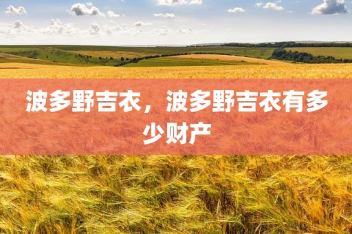 波多野吉衣，波多野吉衣有多少财产