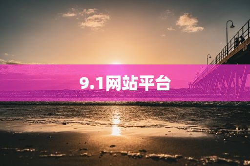 9.1网站平台