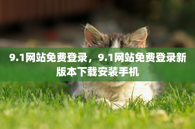 9.1网站免费登录，9.1网站免费登录新版本下载安装手机