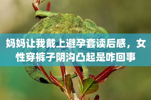 妈妈让我戴上避孕套读后感，女性穿裤子阴沟凸起是咋回事