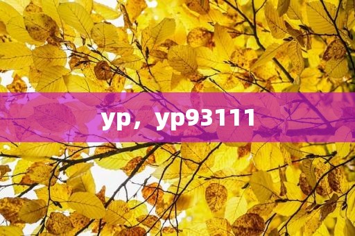 yp，yp93111