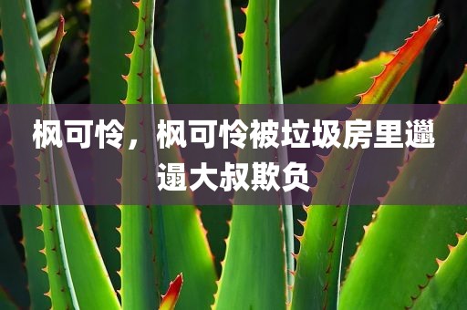 枫可怜，枫可怜被垃圾房里邋遢大叔欺负