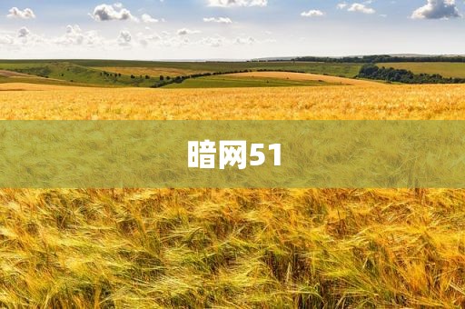 暗网51