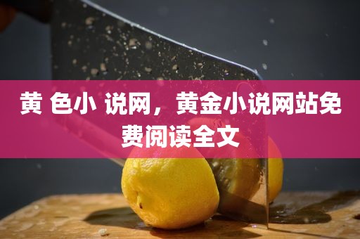 黄 色小 说网，黄金小说网站免费阅读全文