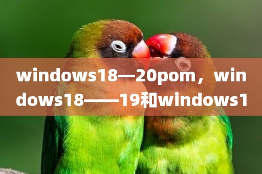 windows18—20pom，windows18――19和windows10