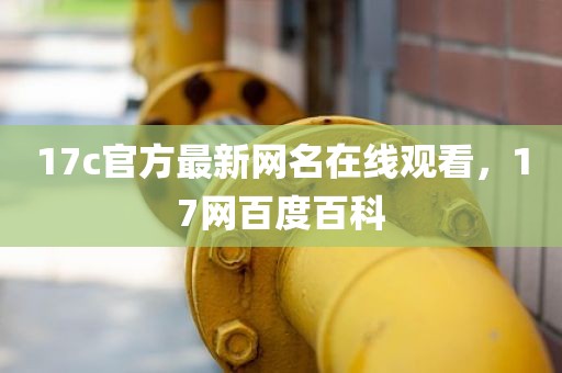17c官方最新网名在线观看，17网百度百科