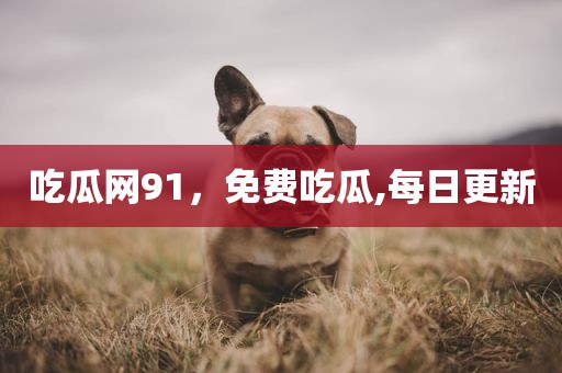吃瓜网91，免费吃瓜,每日更新