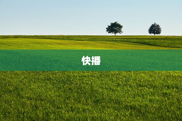 快播
