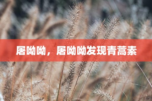 屠呦呦，屠呦呦发现青蒿素