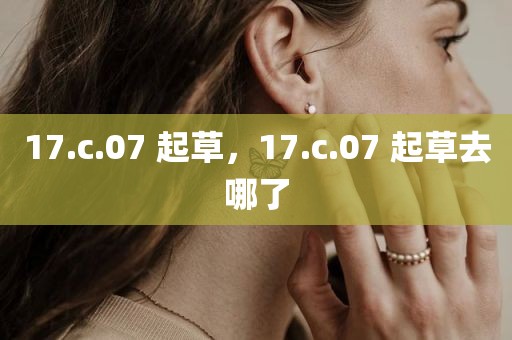 17.c.07 起草，17.c.07 起草去哪了