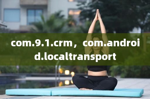 com.9.1.crm，com.android.localtransport