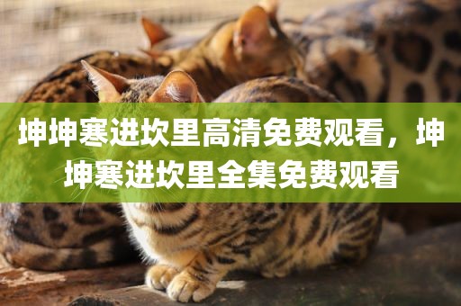 坤坤寒进坎里高清免费观看，坤坤寒进坎里全集免费观看