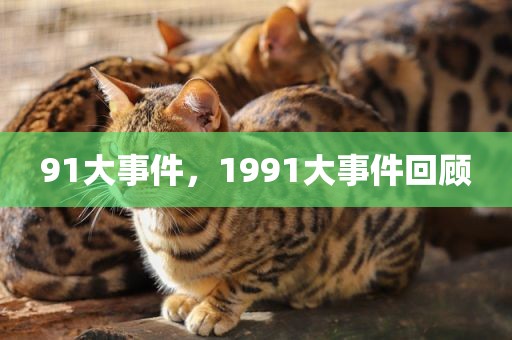 91大事件，1991大事件回顾