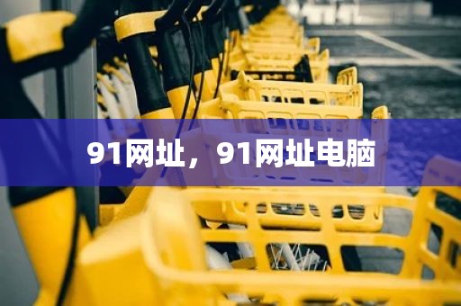91网址，91网址电脑