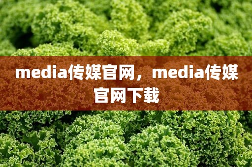 media传媒官网，media传媒官网下载
