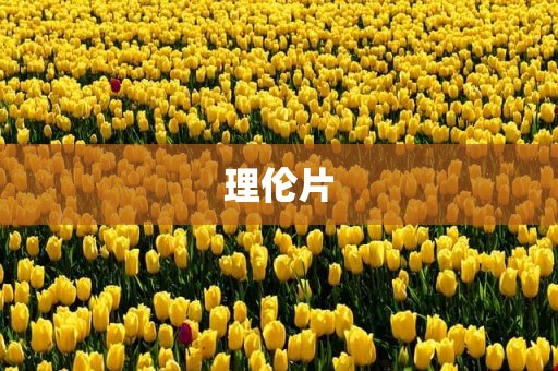 理伦片