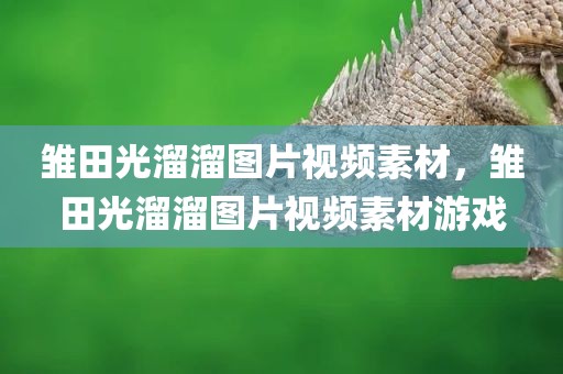 雏田光溜溜图片视频素材，雏田光溜溜图片视频素材游戏