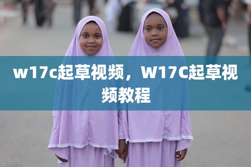 w17c起草视频，W17C起草视频教程
