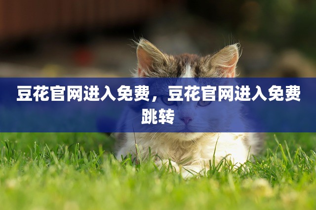 豆花官网进入免费，豆花官网进入免费跳转