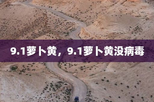 9.1萝卜黄，9.1萝卜黄没病毒