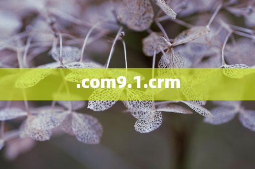 .com9.1.crm